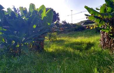 Imagem 4: Lote/Terreno para venda com 770 metros quadrados em Alto de Pinheiros...