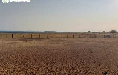 Imagem 11: FAZENDA À VENDA EM SANTA MARIA - TO - 3.789,72 HECTARES (DUPLA APTIDÃO