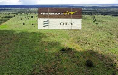 Imagem 2: FAZENDA EXTRA - MUNDO NOVO - GO 217 ALQUEIRES