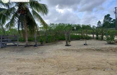 Imagem: A fazenda possui 66308000m² de Área e Imóvel novo e está