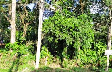 Imagem 2: Venda de lote de terreno