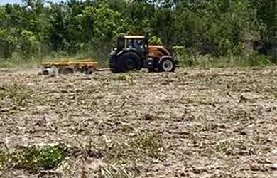 Imagem 2: Fazenda novo acordo Tocantins