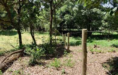 Imagem 8: Chácara 4000m², Frente Rodovia GO-040, Terra Cultura, Cercada, Entre...