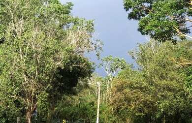 Imagem: A fazenda e está localizado em Nova Crixás, GO à venda por