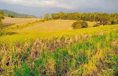 Imagem 2: Lote/Terreno para venda com 500 metros quadrados em Jardim Colonial - Atibaia - SP