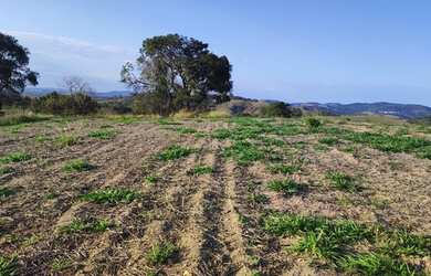 Imagem 4: Lote/Terreno para venda tem 500 metros quadrados em Jardim Imperial -...