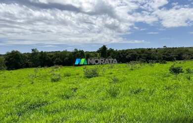 Imagem 2: FAZENDA À VENDA - 273 HECTARES - TRÊS MARIAS MG