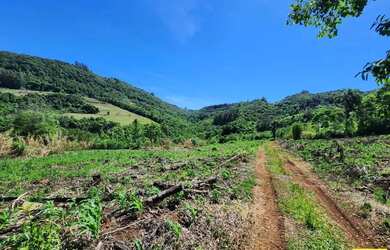 Imagem 2: Sítio / Chácara para Venda em Nova Petrópolis, Fazenda Pirajá