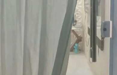 Imagem: A casa possui 3 Dormitórios, 1 Banheiro, 1 Vaga na garagem