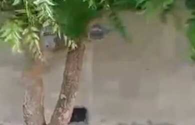 Imagem: A casa possui 2 Dormitórios, 2 Banheiros, 1 Vaga na garagem