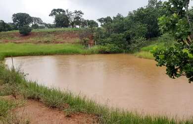 Imagem: A fazenda possui 15m² de Área e está localizado em Centro