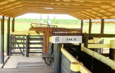 Imagem 14: Sítio Premium no município Inhumas-Goiás. 54 km de Goiânia. 35 Hectares