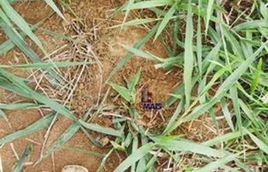 Imagem 2: Fazenda à venda, por R$ 16.000.000 - Zona Rural - Porto Velho/RO