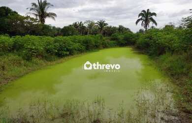 Imagem 2: Sítio com 3 dormitórios, 100000 m² - venda por R$ 650.000,00 ou aluguel...