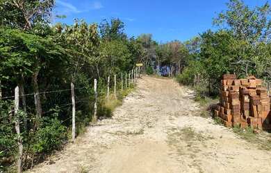 Imagem 7: Terreno à venda, 7500 m² por R$ 850.000,00 - Praia de Pipa - Tibau do...