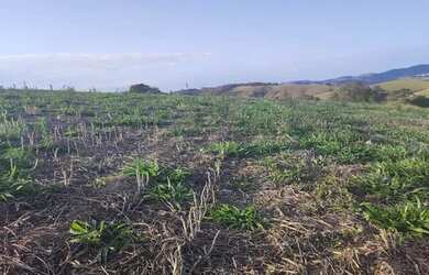 Imagem 14: Lote/Terreno para venda possui 500 metros quadrados em Jardim Imperial...