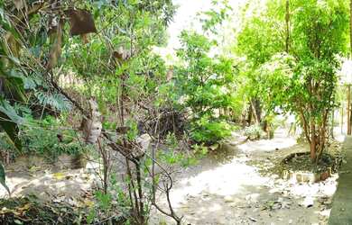 Imagem 2: Lote em Betim, Cruzeiro, 650 mil