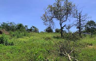 Imagem 10: Chácara 4000m², Frente Rodovia GO-040, Terra Cultura, Cercada, Entre...