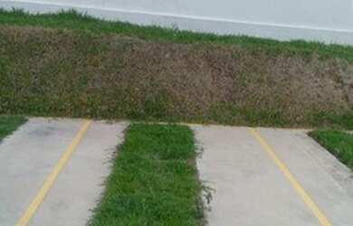 Imagem 3: Apartamento, São João Batista, Belo Horizonte por R$ 1.300,00