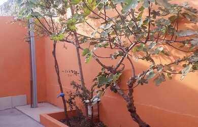 Imagem 6: Casa psul 20. 100-0m² de Área, 1 Vaga na garageme4 Dormitórios