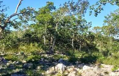 Imagem 3: Chácara Terreno / lote com venda com preço sob consulta