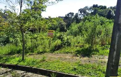 Imagem 5: Terreno para Venda em Nova Petrópolis, Linha Imperial