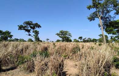 Imagem 11: Fazenda à venda de 497,00 Ha para Agricultura Irrigada Ibiaí - MG