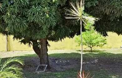 Imagem: A casa possui 2 Dormitórios, Acomodam 6 pessoas, 5 Vagas na