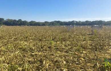 Imagem: A fazenda possui 6.300.000m² de Área e está localizado em