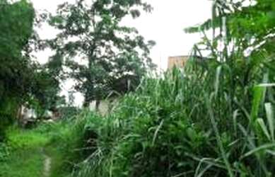 Imagem 8: Área para venda 3413 metros quadrados em Nova Cidade - São Gonçalo...