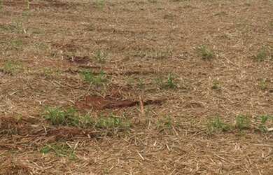 Imagem: A fazenda possui 1.790.000m² de Área e está localizado em