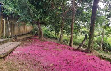 Imagem 8: Sítio. Churrasqueirae27.000m² de Área