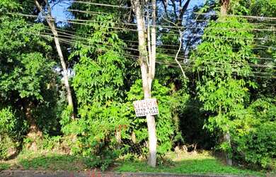 Imagem 7: Venda de lote de terreno