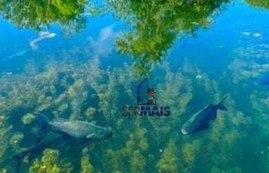 Imagem 6: Terreno à venda - Condomínio Ecoville - Porto Velho/RO