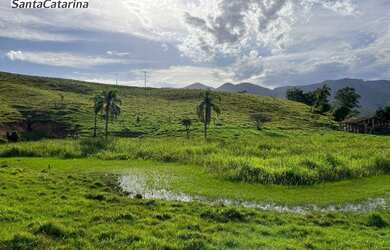 Imagem 5: Terreno à venda, 20000 m² por R$ 150.000 - Fazenda Paraíso - Imaruí/SC