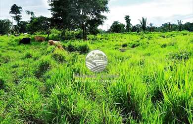 Imagem: Vale do Anari - Fazenda - 63 Alqueires