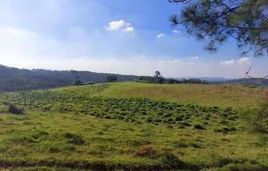 Imagem: O terreno possui 500m² de Área e está localizado em Usina