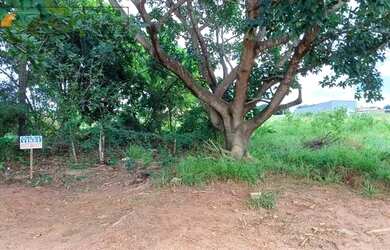 Imagem 6: Terreno plano 13x20 na Quinta da Bela Olinda por apenas R$ 75 mil