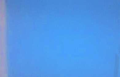 Imagem 15: Casas para locação em São Paulo no bairro Vila Industrial