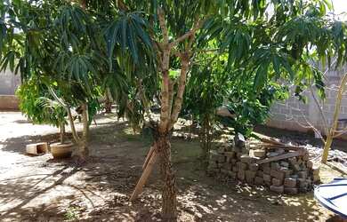 Imagem: A chácara possui 1.023m² de Área e está localizado em Village