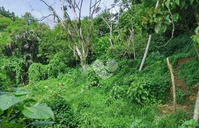 Imagem 16: Lopes Enjoy Vende Terreno com 5150 m² por R$ 480.000,00- Vargem Grande...