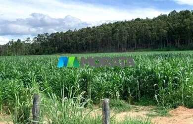 Imagem: A fazenda possui 1.456m² de Área, Imóvel novo e está localizado