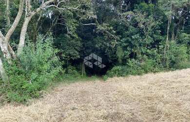 Imagem 9: Chácara com casa e ótimo aproveitamento