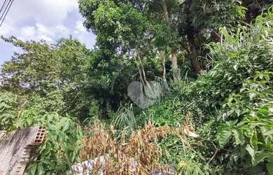 Imagem 10: Lopes Enjoy Vende Terreno com 5150 m² por R$ 480.000,00- Vargem Grande...