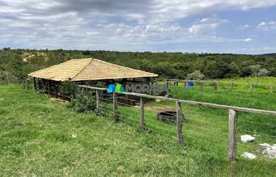 Imagem 3: FAZENDA À VENDA - 273 HECTARES - TRÊS MARIAS MG
