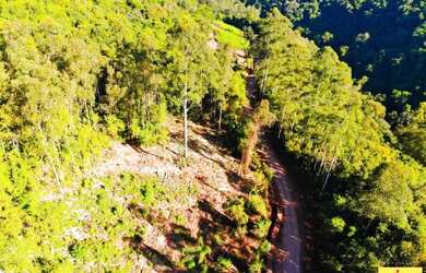 Imagem 8: Sítio / Chácara para Venda em Nova Petrópolis, Arroio Paixão