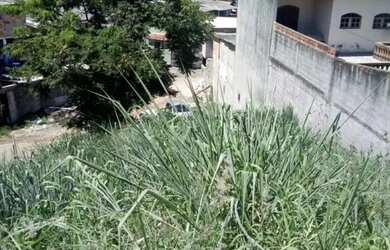 Imagem 6: AREA - CANGAÍBA - SP. 1.228m² de Área