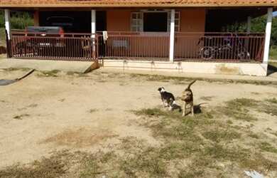 Imagem 5: Fazenda/Sítio/Chácara para venda tem 570000 metros quadrados em Zona...