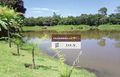 Imagem: A fazenda está localizado em São Luís de Montes Belos, GO