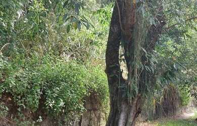Imagem 10: Terreno, El dourado, Freguesia, Jacarépagua, RJ